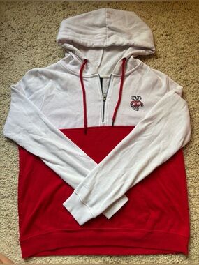 Wisconsin Univ. Badgers